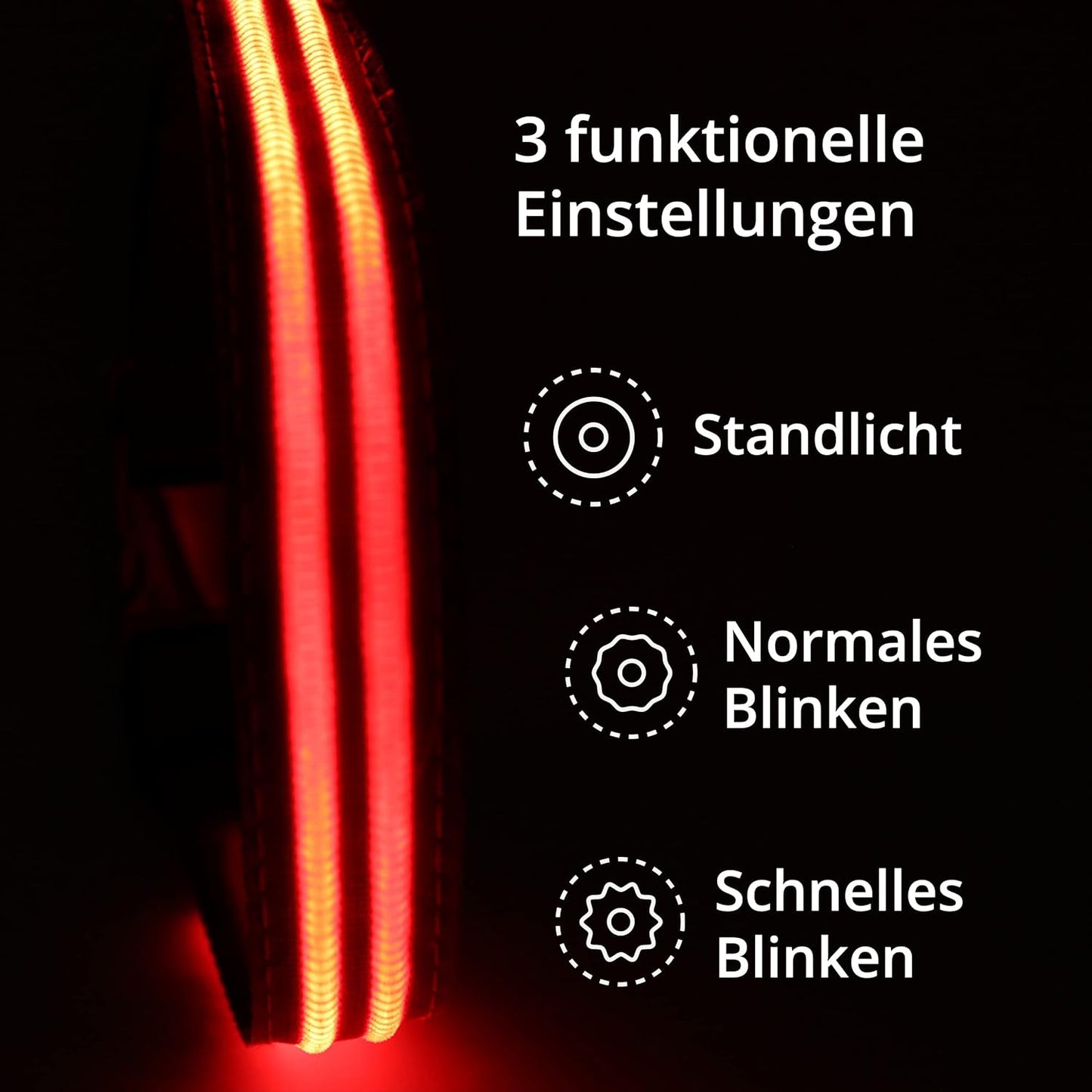 Petsation Leuchthalsband für Hunde – Hundehalsband Durchgängig Leuchtend, LED-Beleuchtung für Sichtbarkeit im Dunkeln, Wasserdicht, Verstellbar, Sicheres Hundezubehör für Nächtliche Spaziergänge, Reflektierend & Leuchtend Rot Größe S 28-40cm