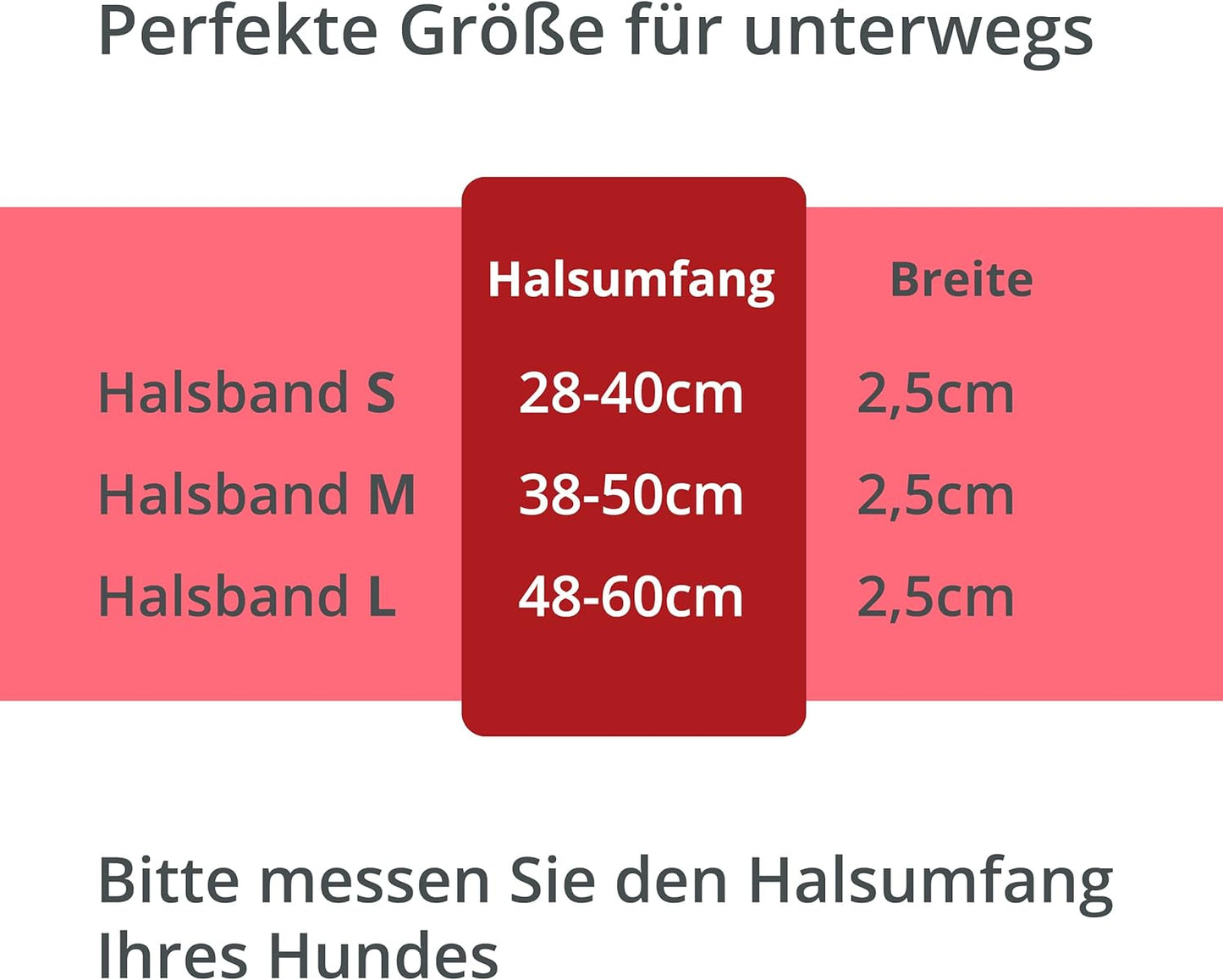 Petsation Leuchthalsband für Hunde – Hundehalsband Durchgängig Leuchtend, LED-Beleuchtung für Sichtbarkeit im Dunkeln, Wasserdicht, Verstellbar, Sicheres Hundezubehör für Nächtliche Spaziergänge, Reflektierend & Leuchtend Rot Größe S 28-40cm