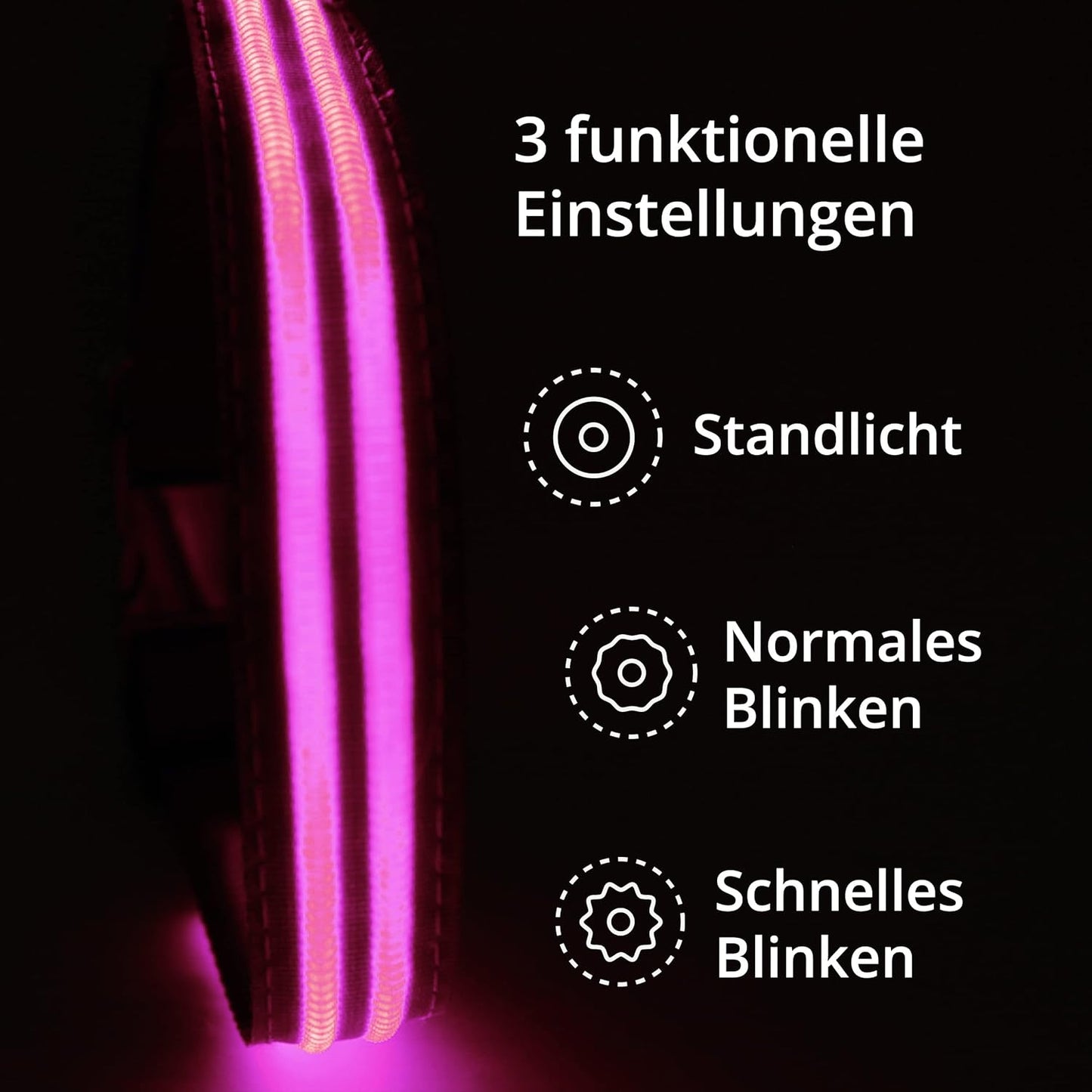 Petsation Light-Up Dog Collar – Continuously Glowing Dog Collar, LED Lighting for Visibility in the Dark, Waterproof, Adjustable, Safe Dog Accessory for Nighttime Walks, Reflective & Bright Pink Size S 28-40cm