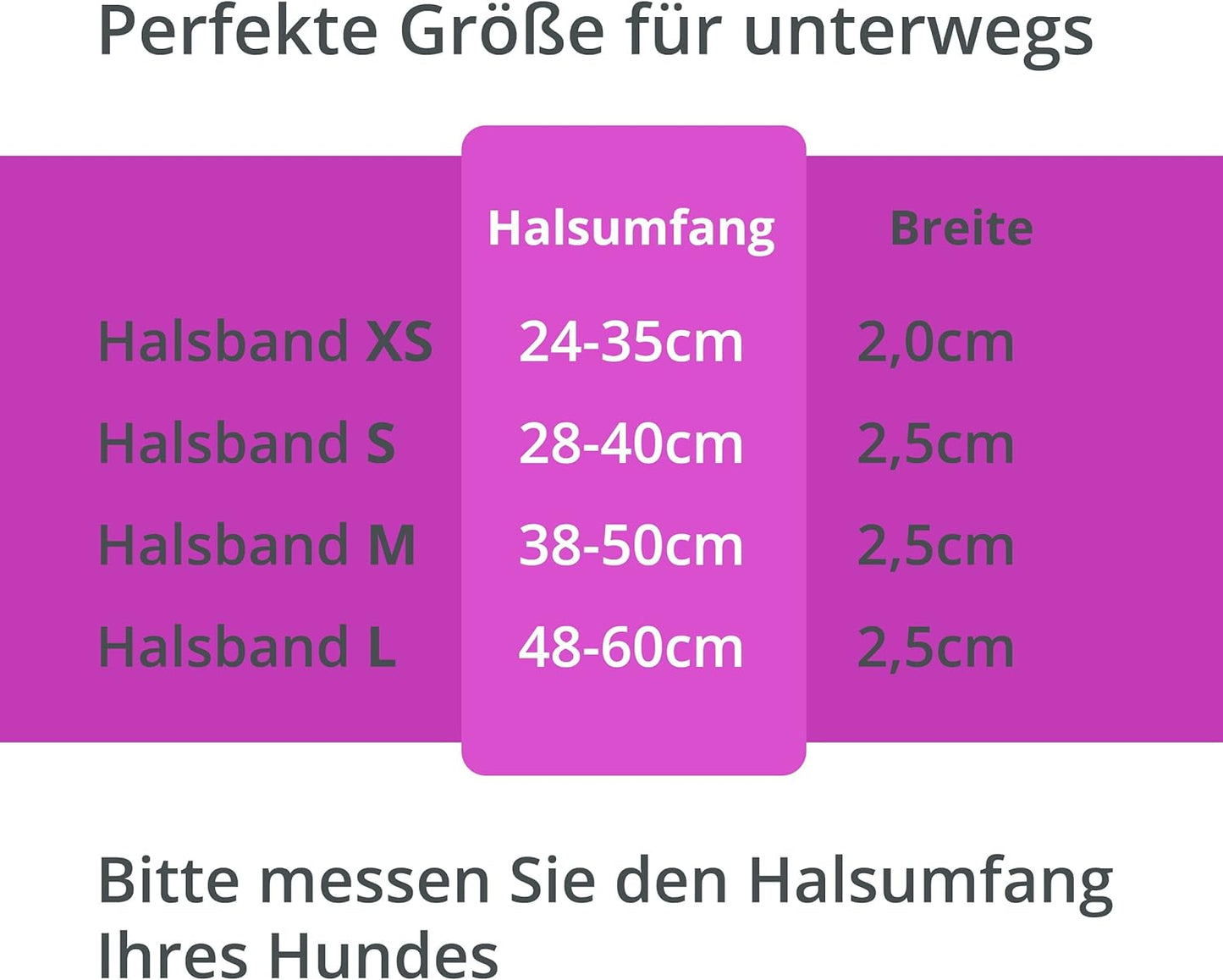 Collier lumineux Petsation pour chien – Collier réfléchissant avec 5 points lumineux pour une meilleure visibilité et sécurité la nuit, réglable, imperméable, idéal pour les promenades dans l'obscurité, accessoire pour chien Rose Taille XS 24-35 cm