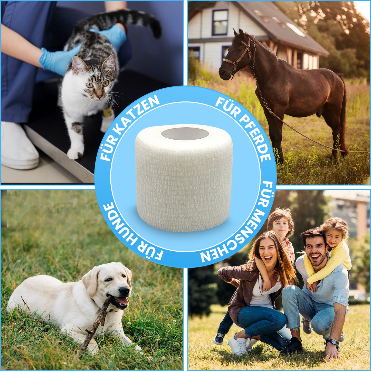 Petsation colored bandages, box of 6 – self-adhesive, elastic, breathable, 5 cm x 4.5 m, ideal for dogs, cats, and horses – animal bandage for wound care, paw protection, and stabilization – colorful set