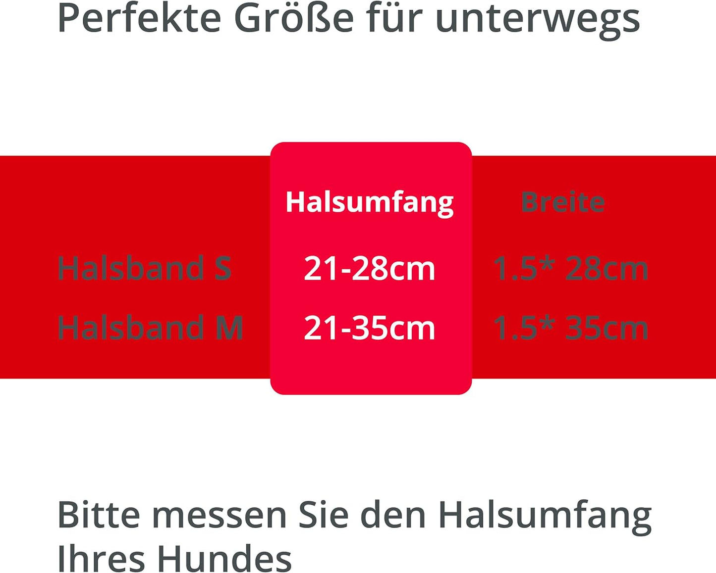 PETSATION Leuchtendes Katzenhalsband - Sicherheits-LED Halsband für Katzen, Verstellbar & Wasserdicht, Perfekt für Nachtspaziergänge, Helles, Reflektierendes Katzenzubehör für Sichtbarkeit & Schutz im Dunkeln Rot Größe S 21-28cm
