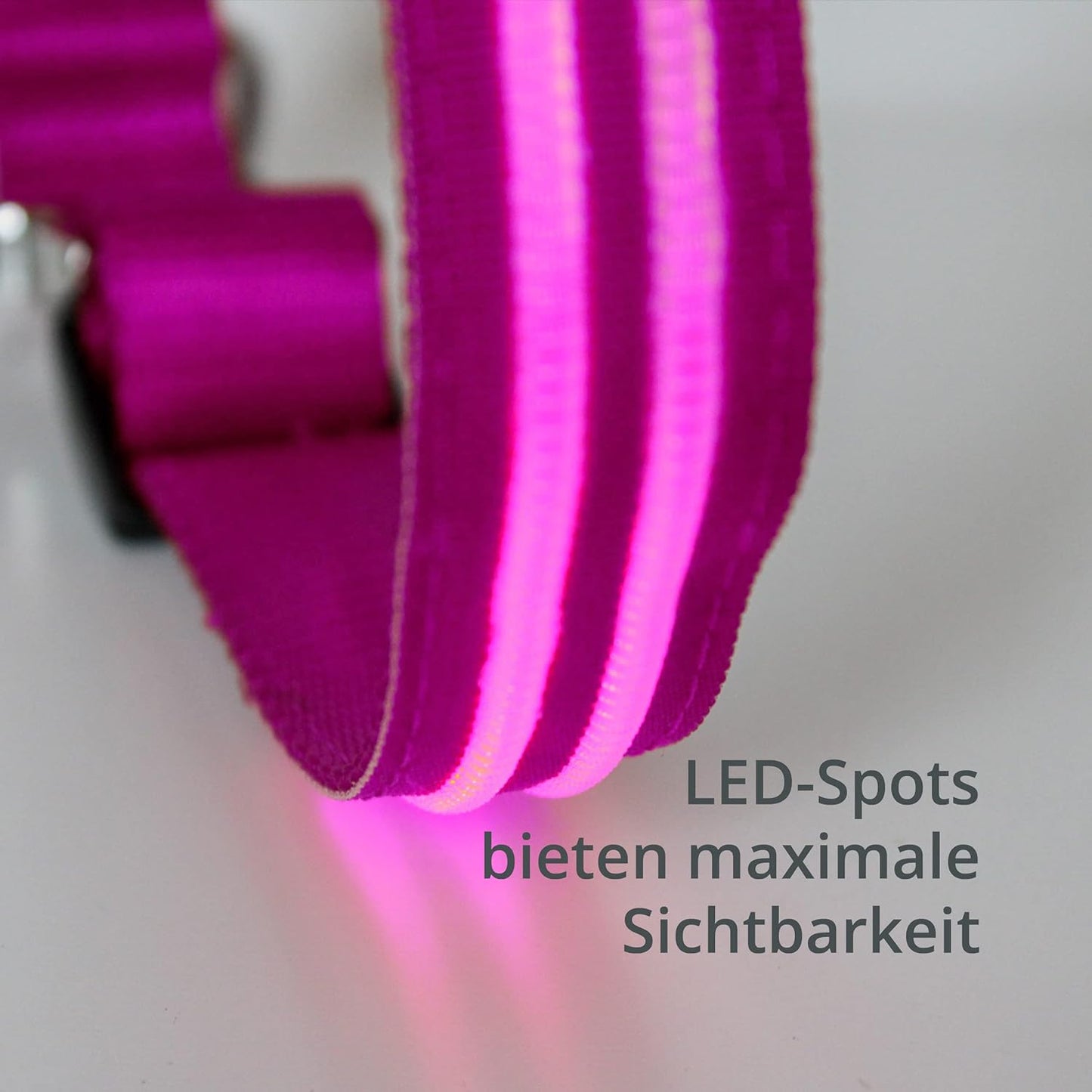 Petsation Leuchthalsband für Hunde – Hundehalsband Durchgängig Leuchtend, LED-Beleuchtung für Sichtbarkeit im Dunkeln, Wasserdicht, Verstellbar, Sicheres Hundezubehör für Nächtliche Spaziergänge, Reflektierend & Leuchtend Pink Größe M 38-50cm