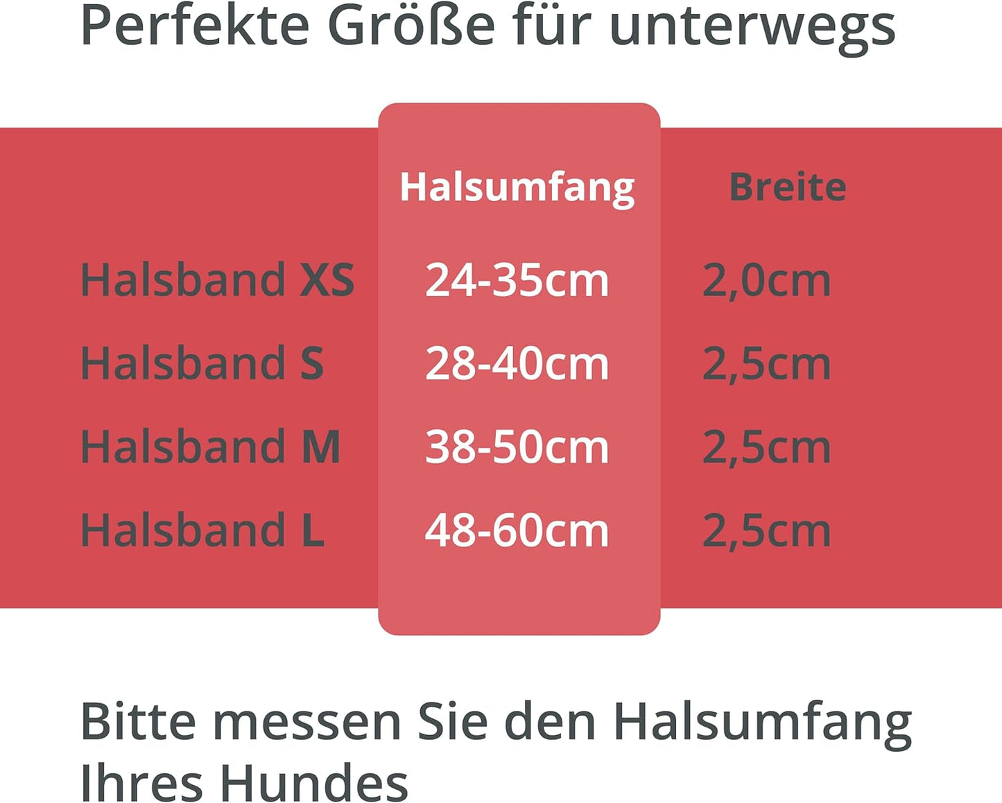 Collier lumineux Petsation pour chien – Collier réfléchissant avec 5 points lumineux pour une meilleure visibilité et sécurité la nuit, réglable, imperméable, idéal pour les promenades dans l'obscurité, accessoire pour chien Rouge Taille L 48-60 cm