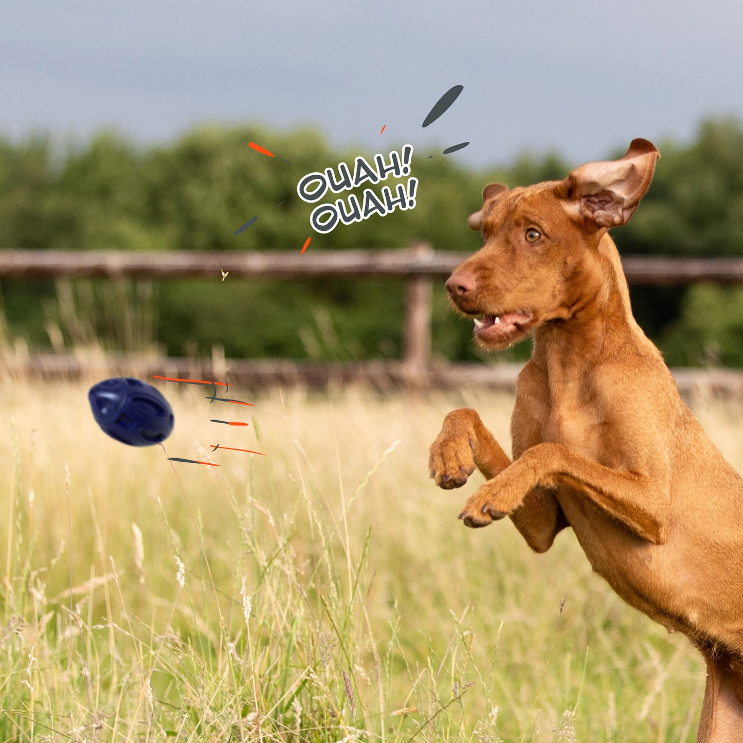 Petsation Dog Toy Chew Ball – Robust & Durable – Dental Care & Teeth Cleaning for Dogs – Interactive Toy for Small & Large Dogs – Dog Ball Made of Natural Rubber – Puppy Toys & Dog Accessories Blue