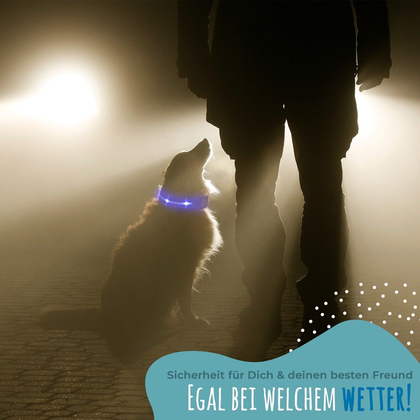 Petsation Light-Up Collar & Dog Leash Set – Safe Nighttime Walking with 5 Light Dots for Better Visibility – Reflection & Safety for Dogs – Durable LED Collar & Leash for Dark Walks Yellow Size XS 24-35cm