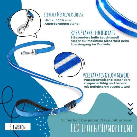 LED Hundeleine Leuchtend – Sicherheitsleine für Hunde bei Nacht - Blau
