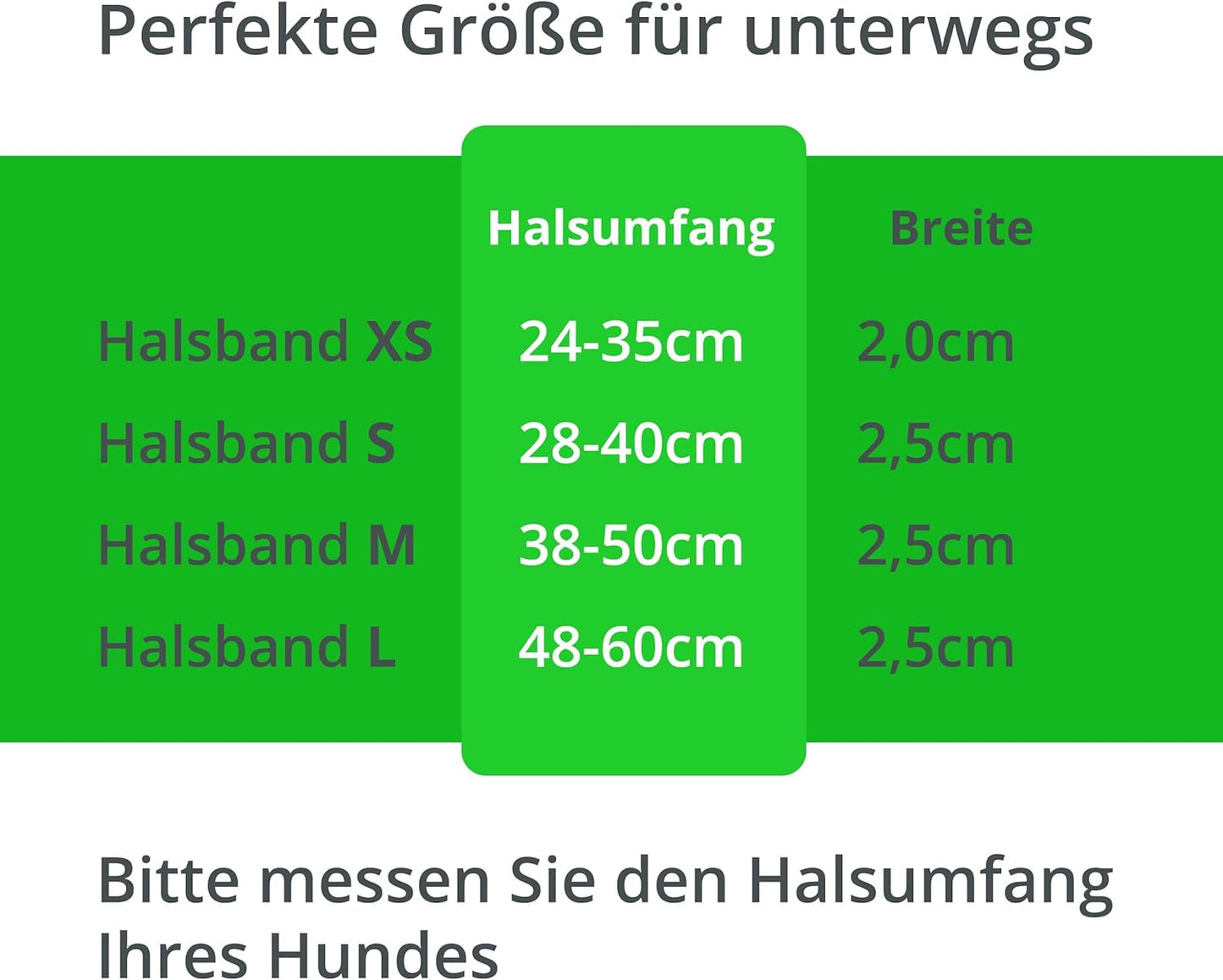 Collier lumineux pour chien Petsation – Collier réfléchissant avec 5 points lumineux pour une meilleure visibilité et sécurité la nuit, réglable, imperméable, idéal pour les promenades dans l'obscurité, accessoire pour chien Vert Taille XS 24-35 cm