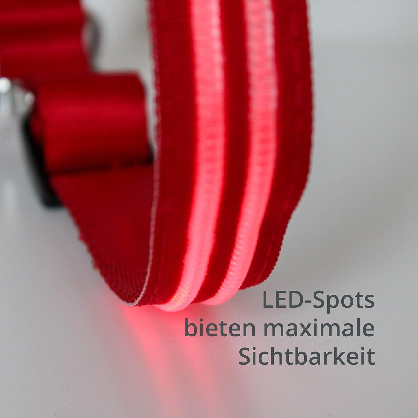Petsation Leuchthalsband für Hunde – Hundehalsband Durchgängig Leuchtend, LED-Beleuchtung für Sichtbarkeit im Dunkeln, Wasserdicht, Verstellbar, Sicheres Hundezubehör für Nächtliche Spaziergänge, Reflektierend & Leuchtend Rot Größe S 28-40cm