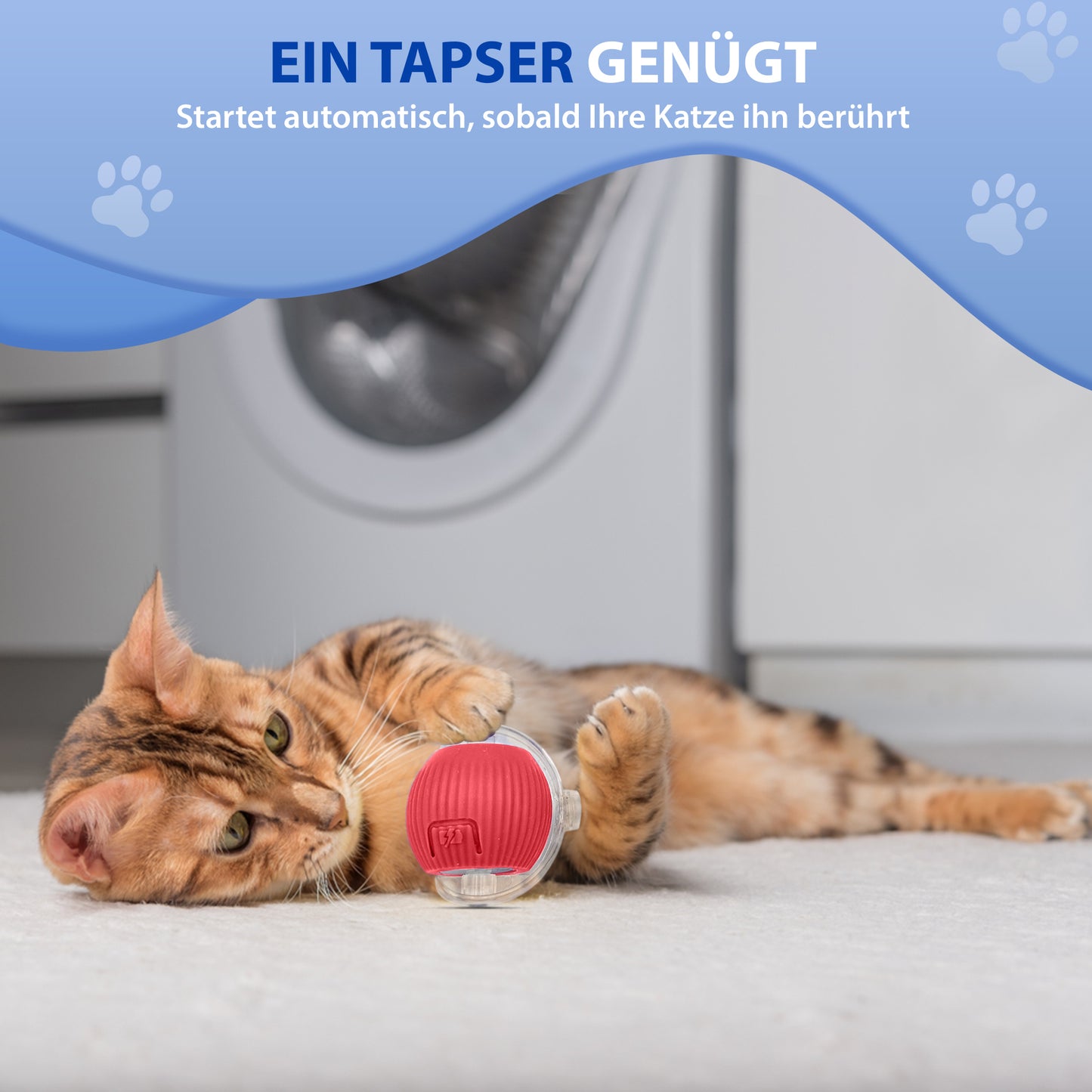 Automatisches Katzenspielzeug mit LED, Bewegung, interaktiv & sicher - Rot