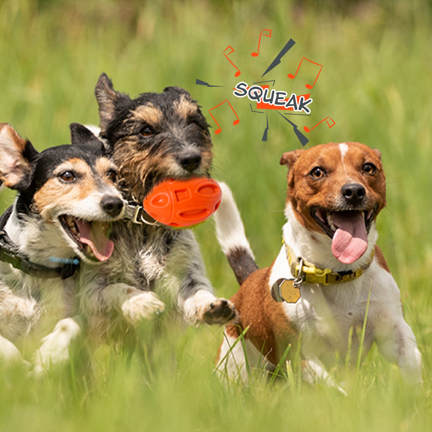 Petsation Dog Toy Chew Ball – Robust & Durable – Dental Care & Teeth Cleaning for Dogs – Interactive Toy for Small & Large Dogs – Dog Ball Made of Natural Rubber – Puppy Toys & Dog Accessories Orange