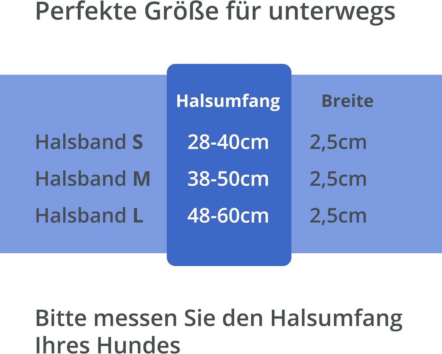 Petsation Leuchthalsband für Hunde – Hundehalsband Durchgängig Leuchtend, LED-Beleuchtung für Sichtbarkeit im Dunkeln, Wasserdicht, Verstellbar, Sicheres Hundezubehör für Nächtliche Spaziergänge, Reflektierend & Leuchtend Blau Größe S 28-40cm