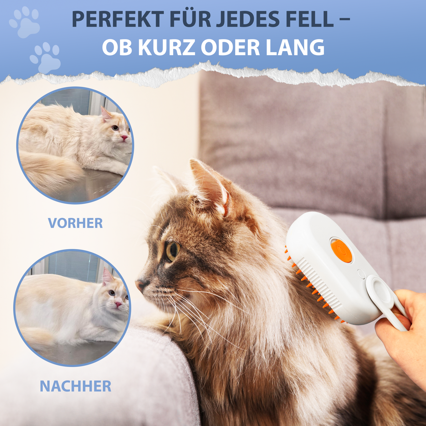 Brosse à vapeur 3 en 1 PETSATION pour chiens et chats – Toilettage, démêlage et nettoyage en un seul appareil | Brosse à vapeur pour éliminer les poils morts et les nœuds | Soin doux pour chiens et chats, beige