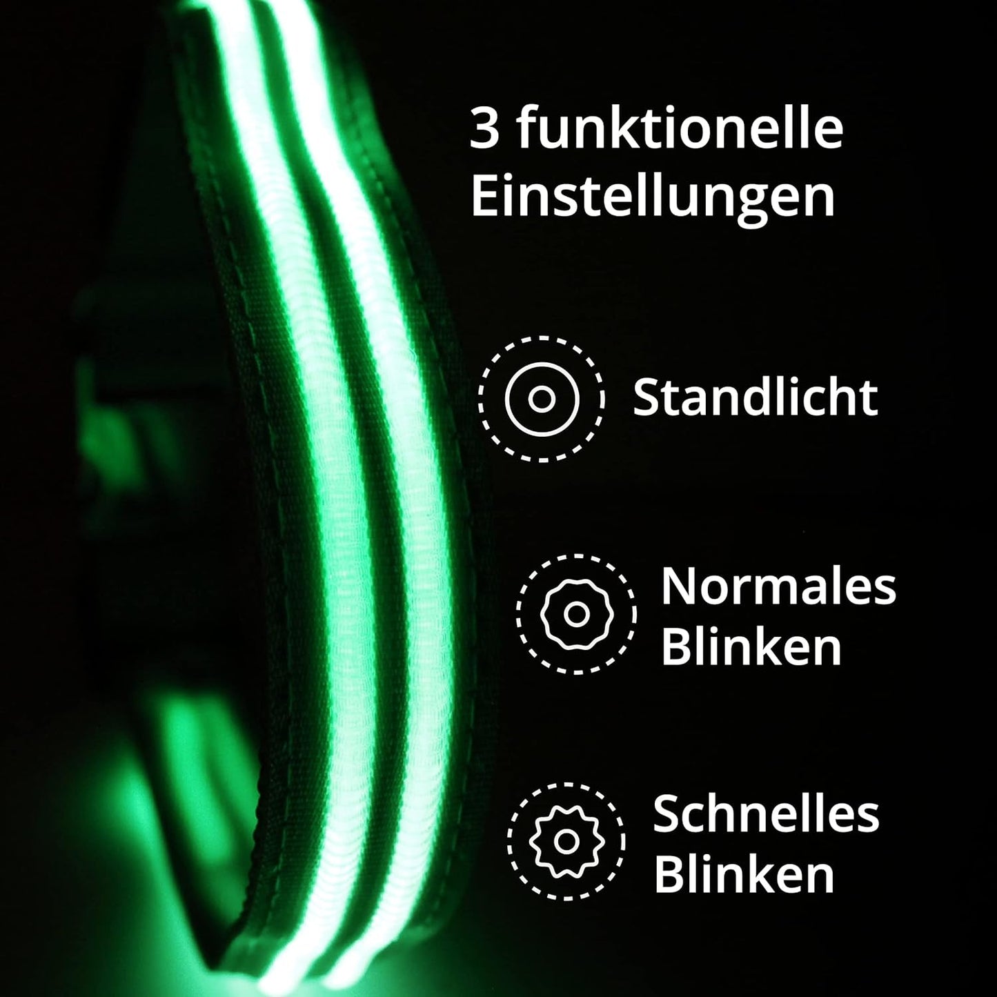 Petsation Leuchthalsband für Hunde – Hundehalsband Durchgängig Leuchtend, LED-Beleuchtung für Sichtbarkeit im Dunkeln, Wasserdicht, Verstellbar, Sicheres Hundezubehör für Nächtliche Spaziergänge, Reflektierend & Leuchtend Grün Größe L 48-60cm
