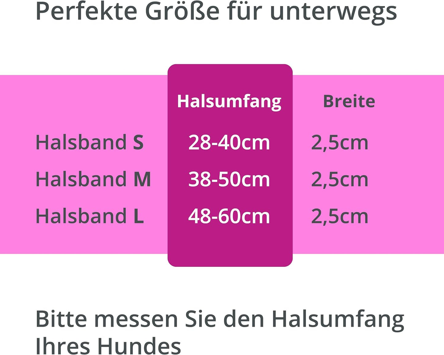 Petsation Leuchthalsband für Hunde – Hundehalsband Durchgängig Leuchtend, LED-Beleuchtung für Sichtbarkeit im Dunkeln, Wasserdicht, Verstellbar, Sicheres Hundezubehör für Nächtliche Spaziergänge, Reflektierend & Leuchtend Pink Größe M 38-50cm