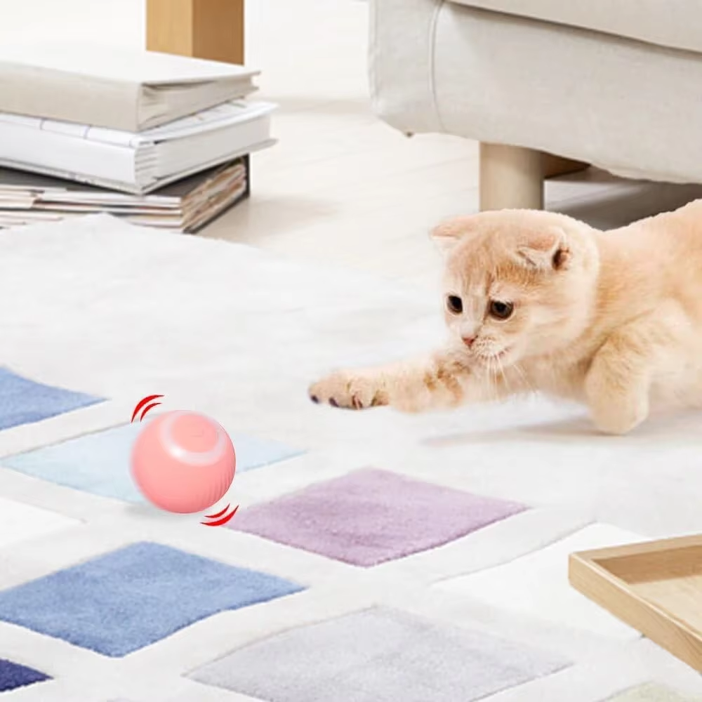 Interaktives Katzenspielzeug Ball Elektrisch für Katzen - türkis