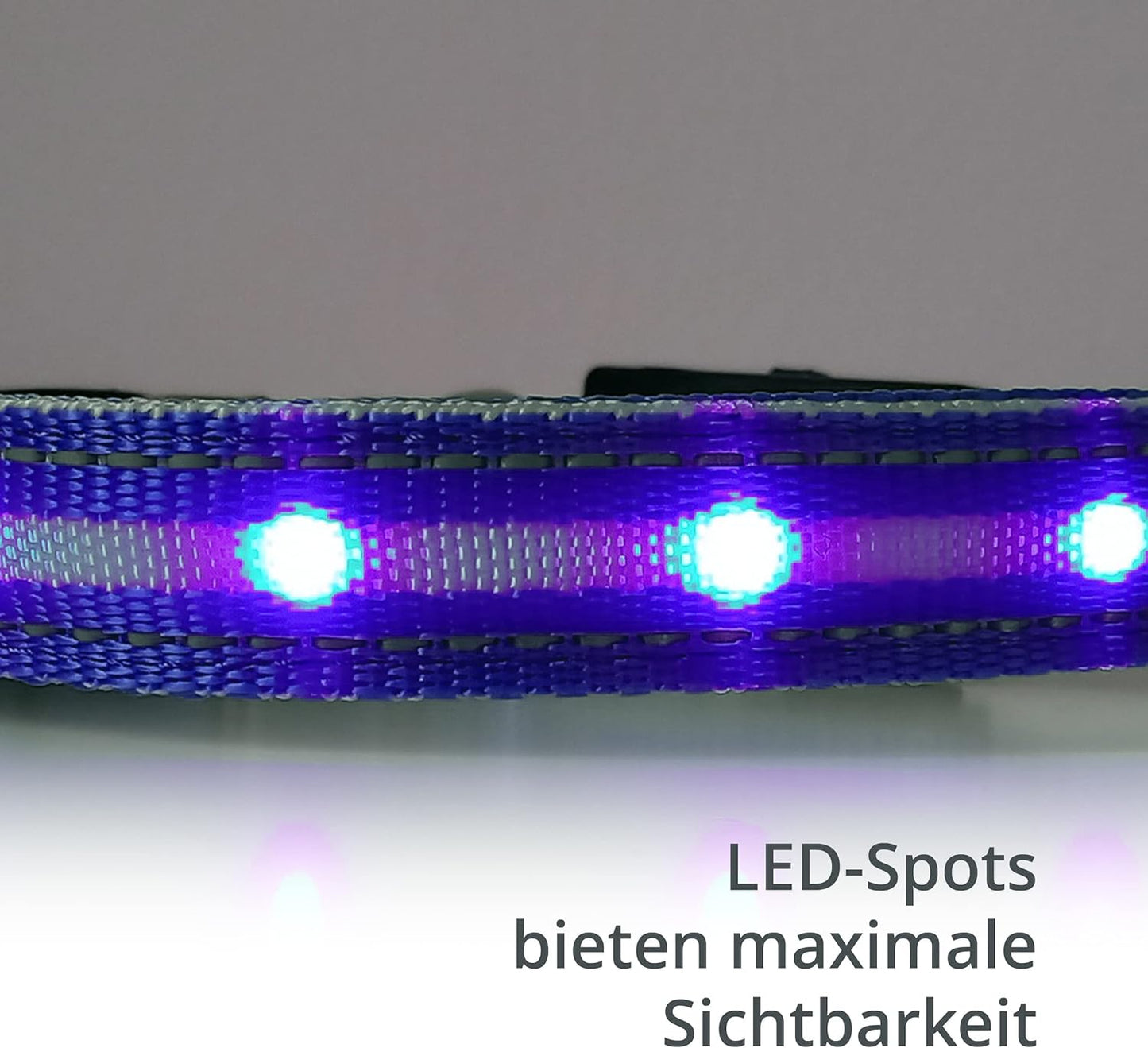Collier lumineux Petsation pour chien – Collier réfléchissant avec 5 points lumineux pour une meilleure visibilité et sécurité la nuit, réglable, étanche, idéal pour les promenades dans l'obscurité, accessoire pour chien bleu, taille M (38-50 cm)