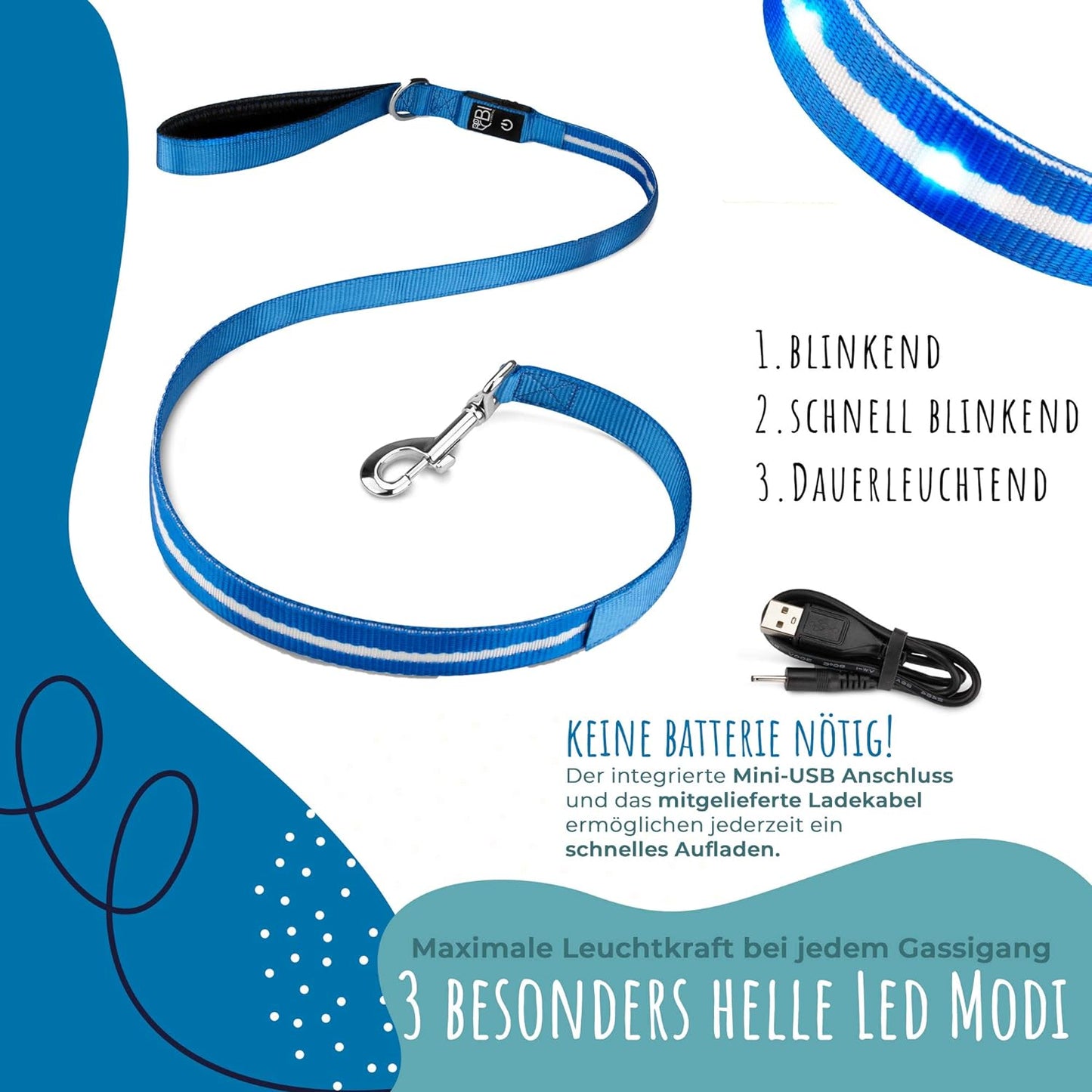 Petsation LED Dog Leash Glowing – Safety Leash for Dogs at Night – USB Rechargeable, Waterproof, Reflective – Visibility & Control While Walking – Suitable for Small & Large Dogs Blue