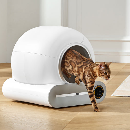 Petsation Selbstreinigende Katzentoilette – Automatische, geruchsfreie, hygienische Lösung für Katzenbesitzer | Selbstreinigende Katzentoilette für einfache Reinigung | Smart Technologie für stressfreies Katzenklo | Ideal für Vielbeschäftigte