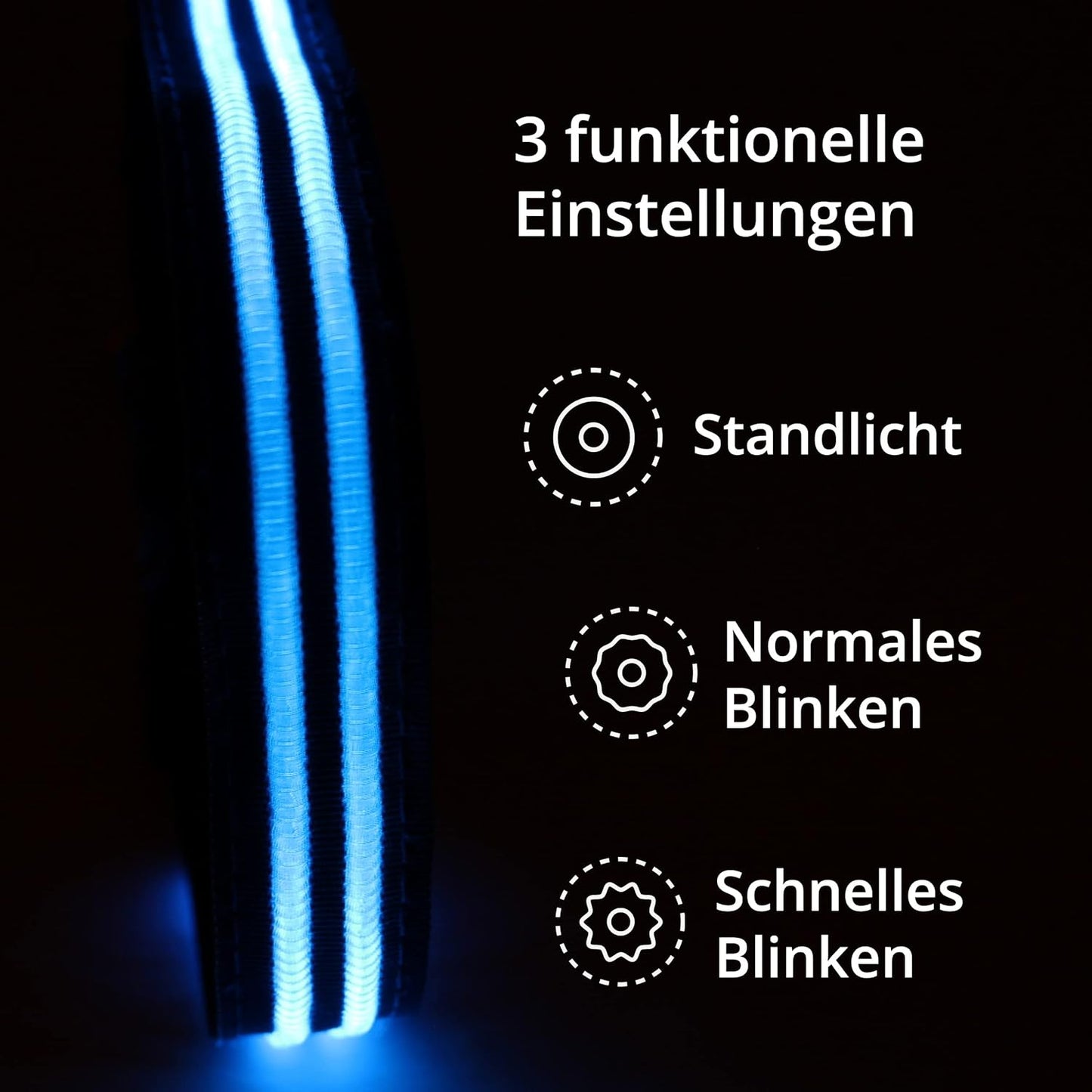 Petsation Leuchthalsband für Hunde – Hundehalsband Durchgängig Leuchtend, LED-Beleuchtung für Sichtbarkeit im Dunkeln, Wasserdicht, Verstellbar, Sicheres Hundezubehör für Nächtliche Spaziergänge, Reflektierend & Leuchtend Blau Größe S 28-40cm