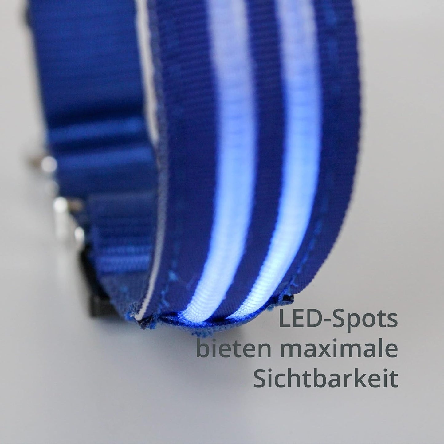 Petsation Leuchthalsband für Hunde – Hundehalsband Durchgängig Leuchtend, LED-Beleuchtung für Sichtbarkeit im Dunkeln, Wasserdicht, Verstellbar, Sicheres Hundezubehör für Nächtliche Spaziergänge, Reflektierend & Leuchtend Blau Größe S 28-40cm