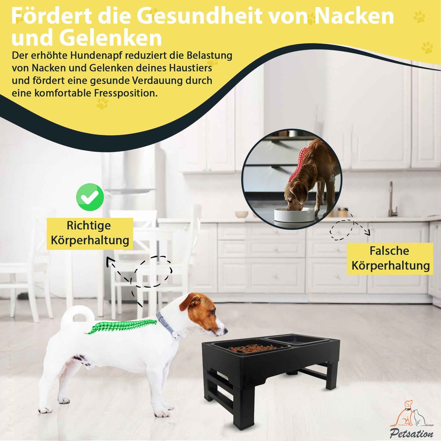 Erhöhter Hundenapf PETSATION – Anti-Schling Napf mit Spritzschutz - schwarz