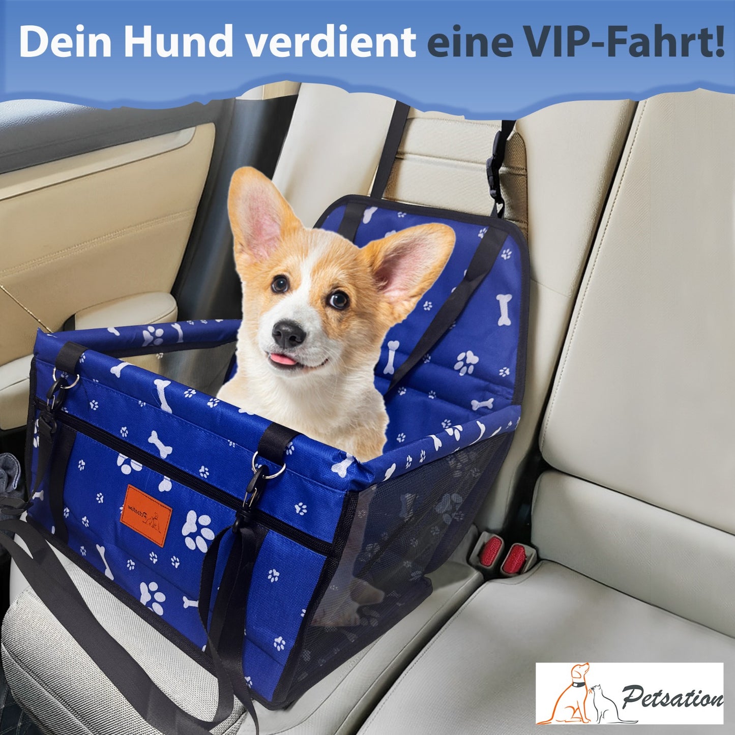 PETSATION Hundeautositz β Wasserdichter & Atmungsaktiver Autositz fΓΌr Hunde β Robuste Oxford-Tragetasche mit Sicherheitsgurt β Waschbare Haustiermatte fΓΌr Auto, SUV & Reisen (Blau, Standard)
