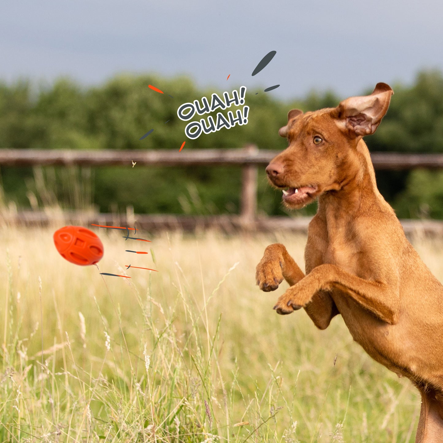 Petsation Dog Toy Chew Ball – Robust & Durable – Dental Care & Teeth Cleaning for Dogs – Interactive Toy for Small & Large Dogs – Dog Ball Made of Natural Rubber – Puppy Toys & Dog Accessories Orange