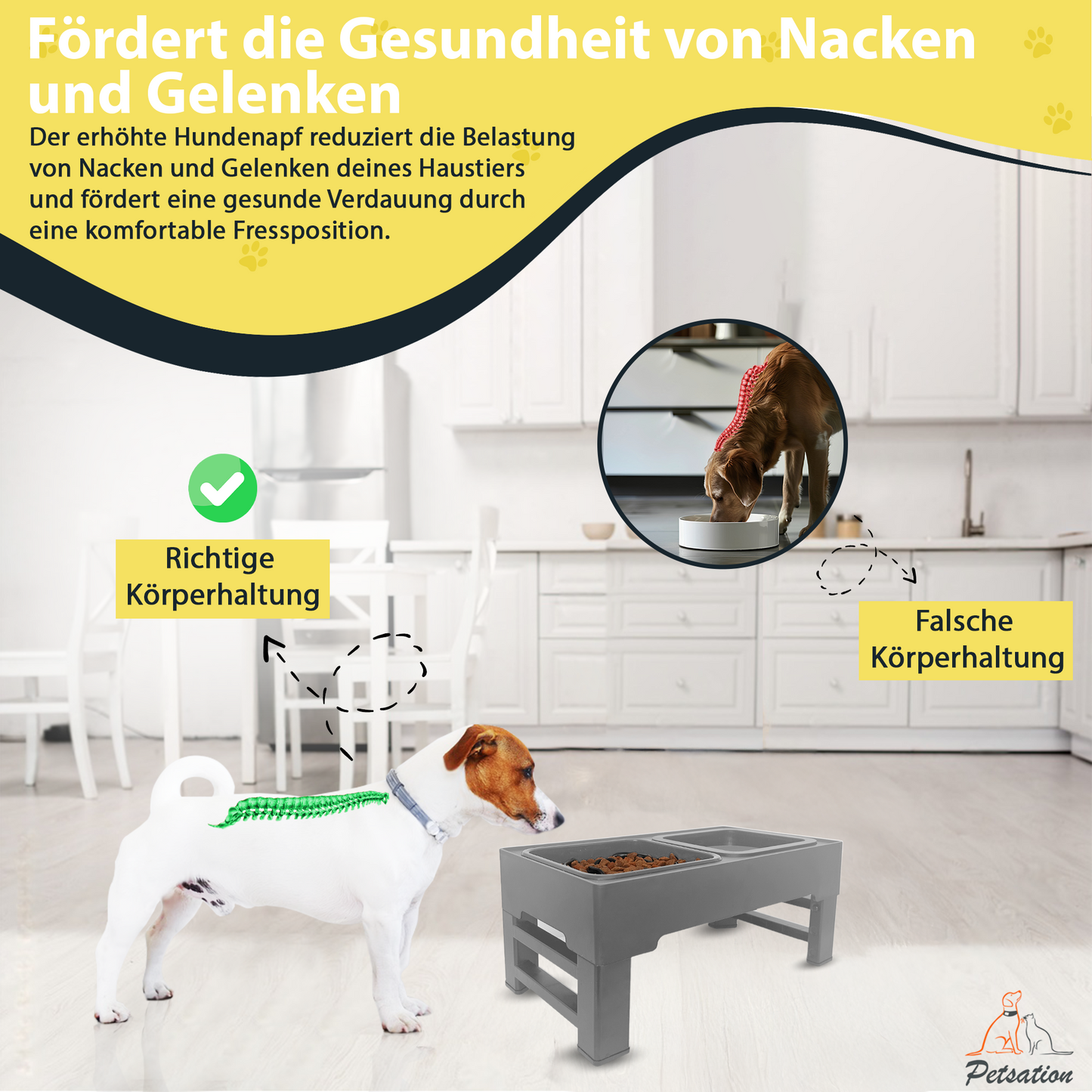 Erhöhter Hundenapf PETSATION – Anti-Schling Napf mit Spritzschutz - Grau