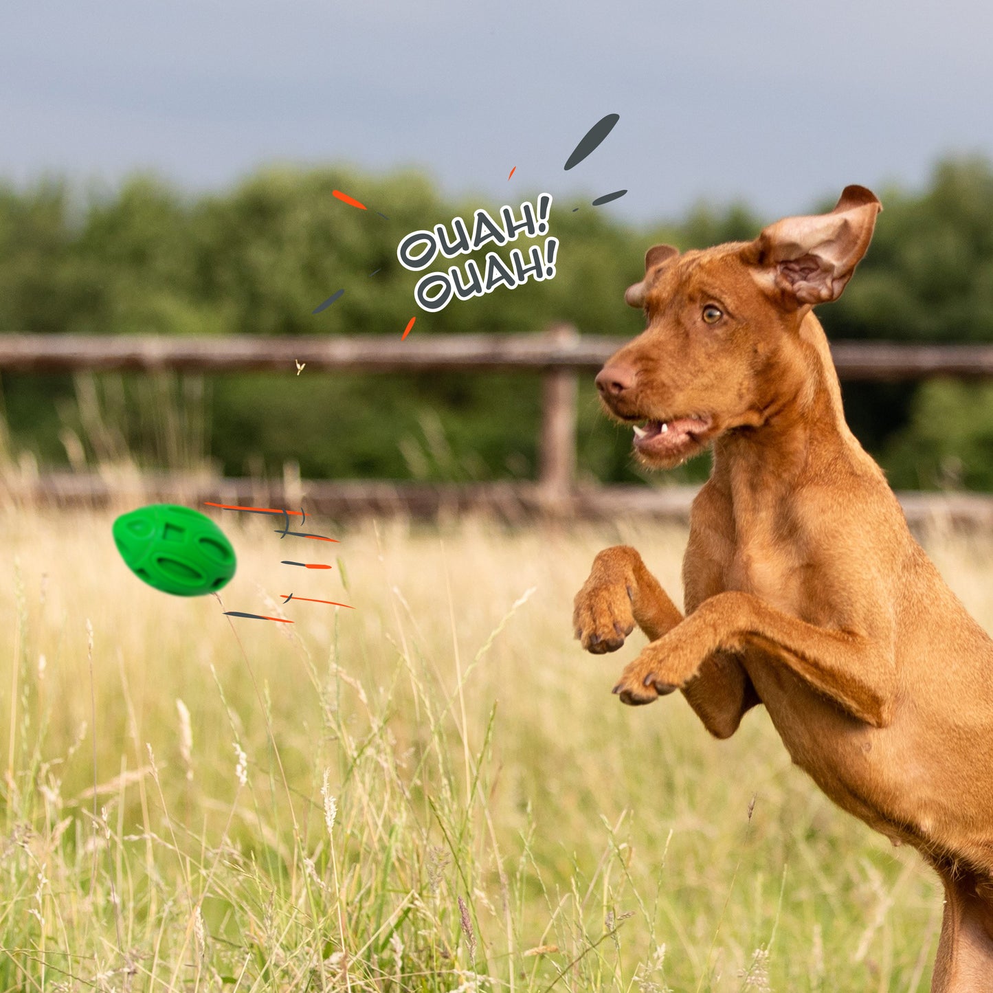 Petsation Dog Toy Chew Ball – Robust & Durable – Dental Care & Teeth Cleaning for Dogs – Interactive Toy for Small & Large Dogs – Dog Ball Made of Natural Rubber – Puppy Toys & Dog Accessories Green