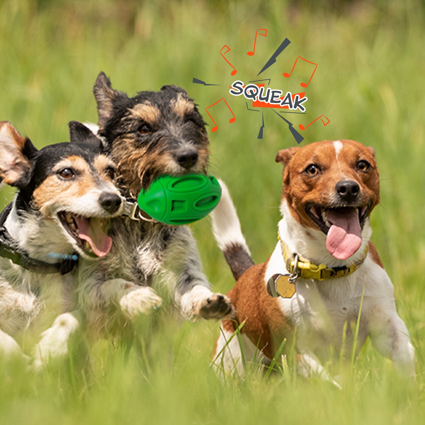 Petsation Dog Toy Chew Ball – Robust & Durable – Dental Care & Teeth Cleaning for Dogs – Interactive Toy for Small & Large Dogs – Dog Ball Made of Natural Rubber – Puppy Toys & Dog Accessories Green