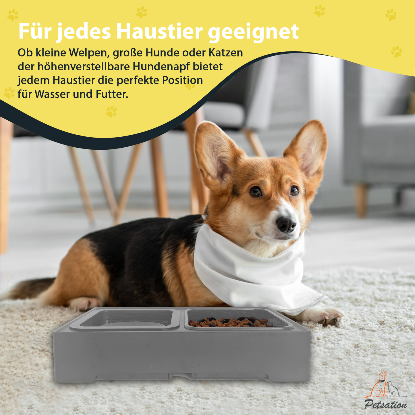 Erhöhter Hundenapf PETSATION – Anti-Schling Napf mit Spritzschutz - Grau