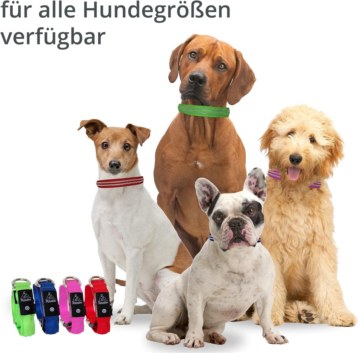 Petsation Leuchthalsband für Hunde – Hundehalsband Durchgängig Leuchtend, LED-Beleuchtung für Sichtbarkeit im Dunkeln, Wasserdicht, Verstellbar, Sicheres Hundezubehör für Nächtliche Spaziergänge, Reflektierend & Leuchtend Rot Größe S 28-40cm