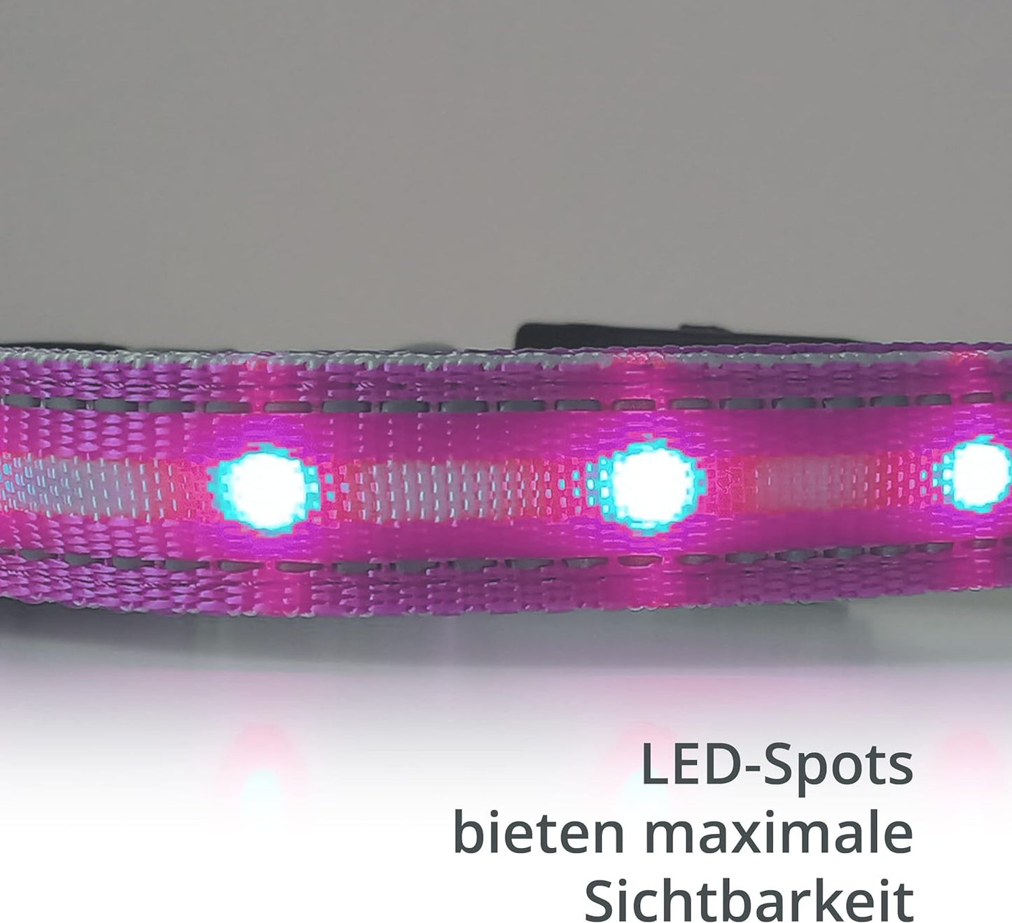 Petsation Light-Up Dog Collar – Reflective Dog Collar with 5 Light Dots for Better Visibility and Safety at Night, Adjustable, Waterproof, Ideal for Walks in the Dark, Dog Accessory Pink Size L 48-60cm