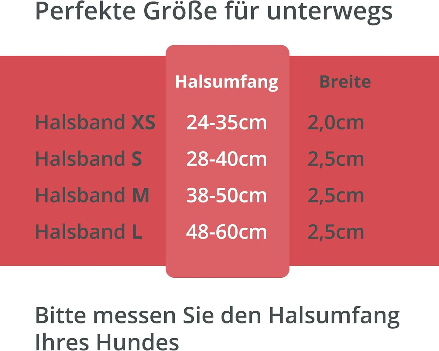 Petsation Leuchthalsband für Hunde – Reflektierendes Hundehalsband mit 5 Leuchtpunkten für bessere Sichtbarkeit und Sicherheit bei Nacht, Verstellbar, Wasserdicht, Ideal für Spaziergänge im Dunkeln, Hundezubehör Rot Größe M 38-50cm