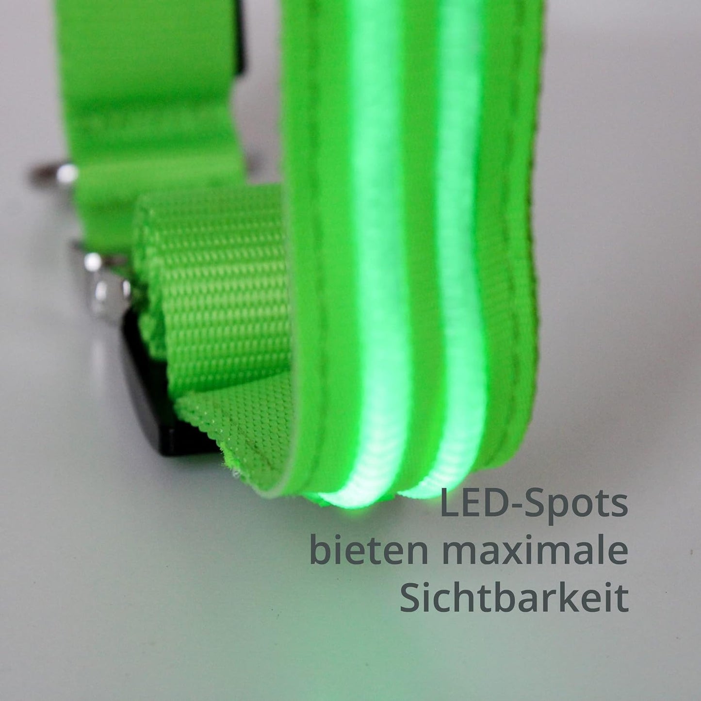 Petsation Leuchthalsband für Hunde – Hundehalsband Durchgängig Leuchtend, LED-Beleuchtung für Sichtbarkeit im Dunkeln, Wasserdicht, Verstellbar, Sicheres Hundezubehör für Nächtliche Spaziergänge, Reflektierend & Leuchtend Grün Größe L 48-60cm