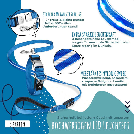 Petsation Leuchthalsband & Hundeleine Set – Sicherer Spaziergang bei Nacht mit 5 Leuchtpunkten für bessere Sichtbarkeit – Reflexion & Sicherheit für Hunde – Strapazierfähiges LED Halsband & Leine für Dunkelheit für Spaziergänge