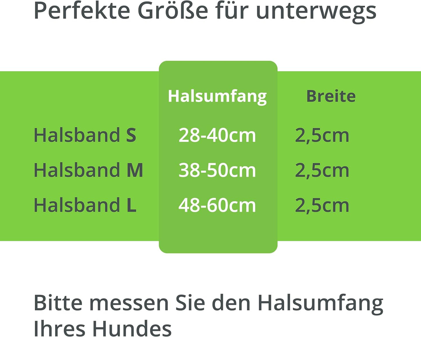 Petsation Leuchthalsband für Hunde – Hundehalsband Durchgängig Leuchtend, LED-Beleuchtung für Sichtbarkeit im Dunkeln, Wasserdicht, Verstellbar, Sicheres Hundezubehör für Nächtliche Spaziergänge, Reflektierend & Leuchtend Grün Größe L 48-60cm