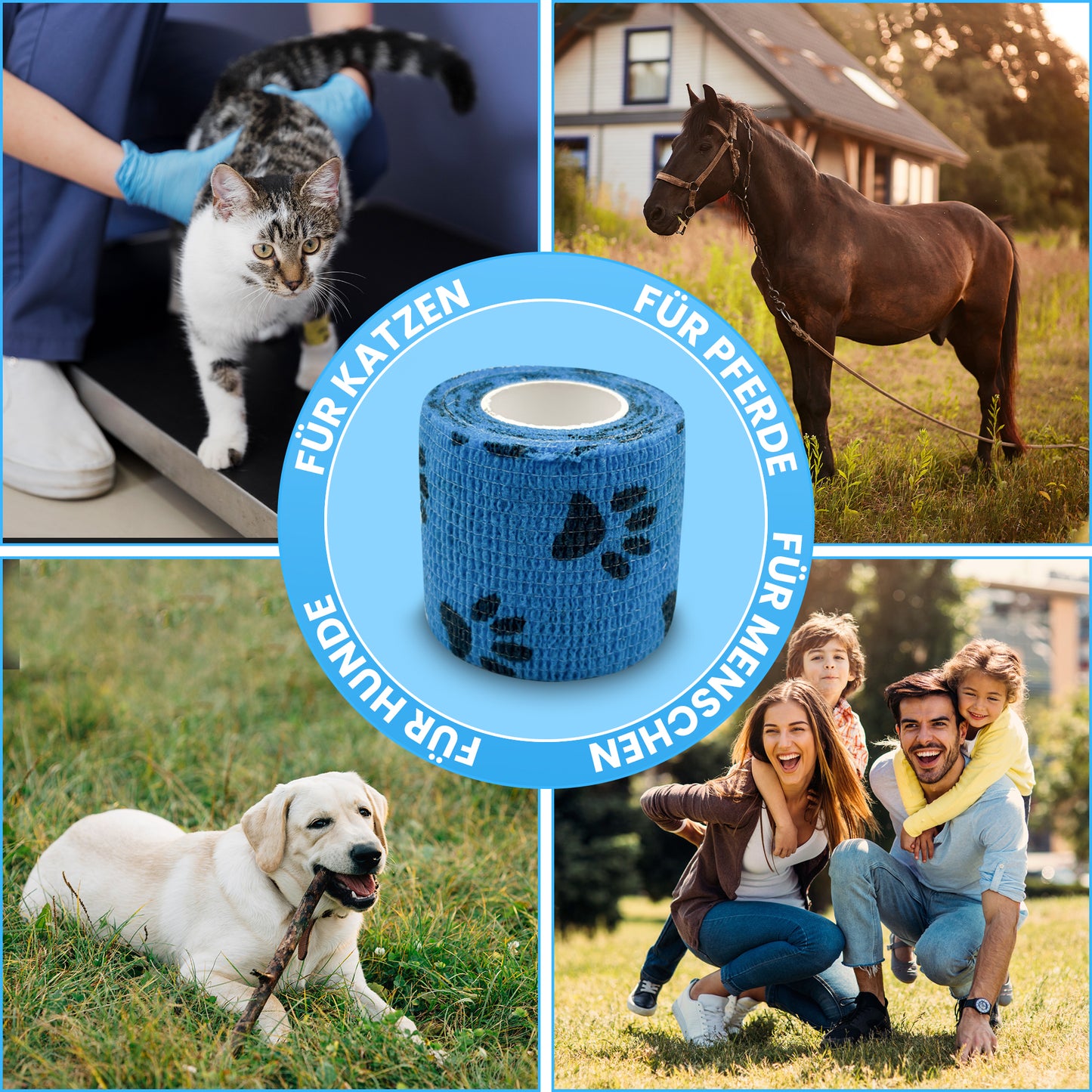 Bandagen motiv 5 cm x 4,5 m – selbsthaftend, elastisch, atmungsaktiv, 6er Box