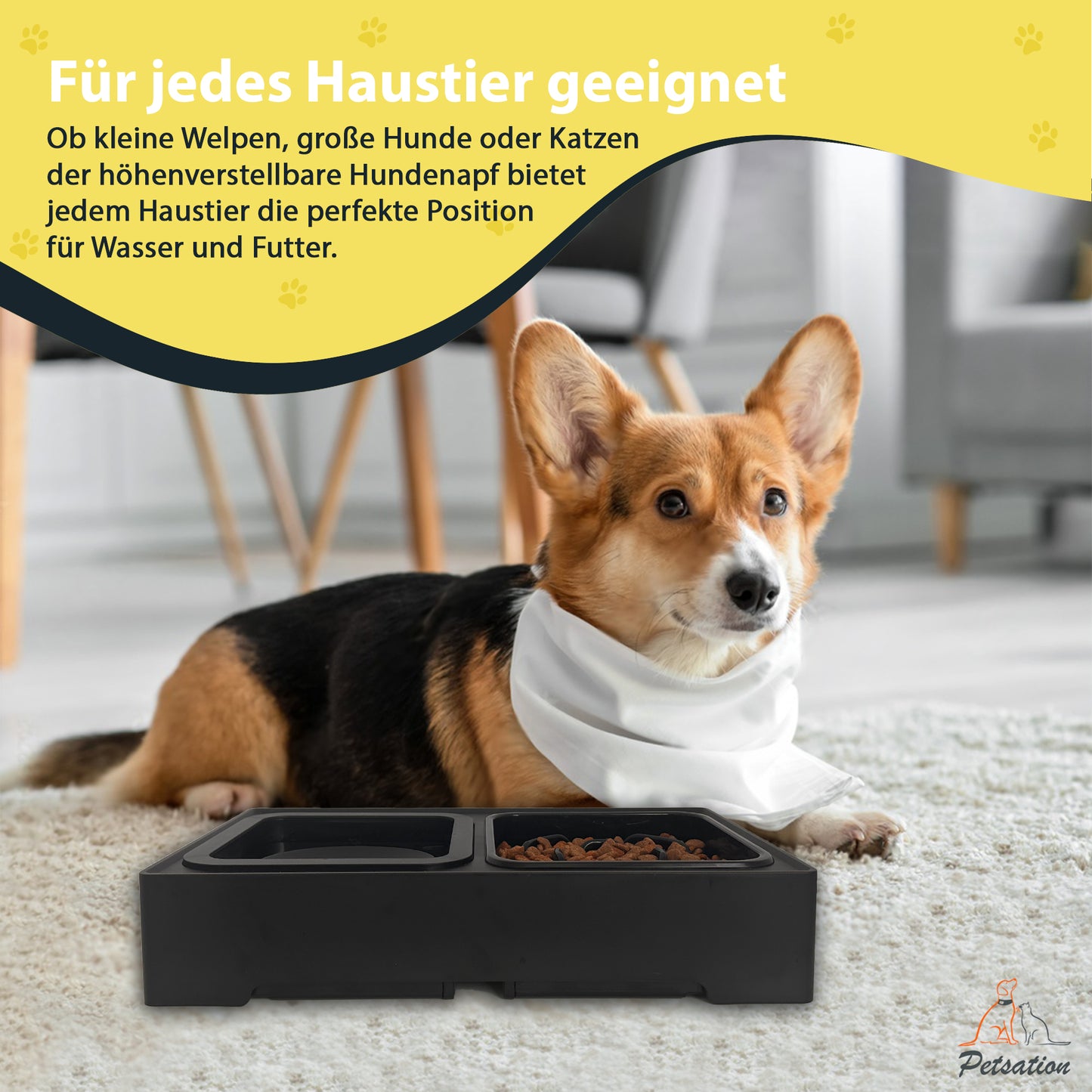 Erhöhter Hundenapf PETSATION – Anti-Schling Napf mit Spritzschutz - schwarz