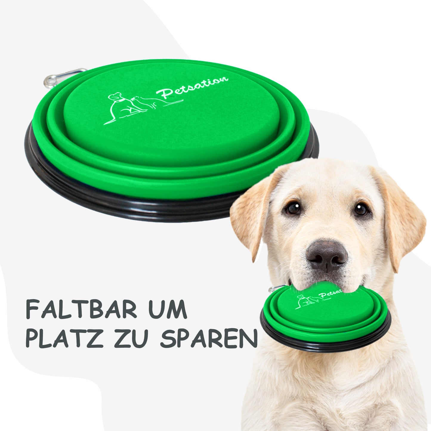 Faltbarer Hundenapf, Reisenapf, Fressnapf, Wassernapf Grün 350ml