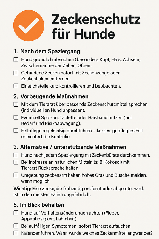 Digitale Checkliste zum Zeckenschutz beim Hund mit fünf Bereichen: Nach dem Spaziergang, vorbeugende Maßnahmen, alternative Methoden, Wissen zu Krankheitsrisiken und Beobachtung von Symptomen. Mit Kästchen zum Abhaken und großem orangenem Haken-Symbol.