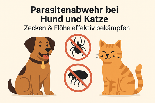 Illustration eines glücklichen Hundes und einer Katze mit Symbolen gegen Zecken und Flöhe. Das Bild zeigt Parasitenabwehr für Haustiere in warmer Farbgebung auf hellem Hintergrund.