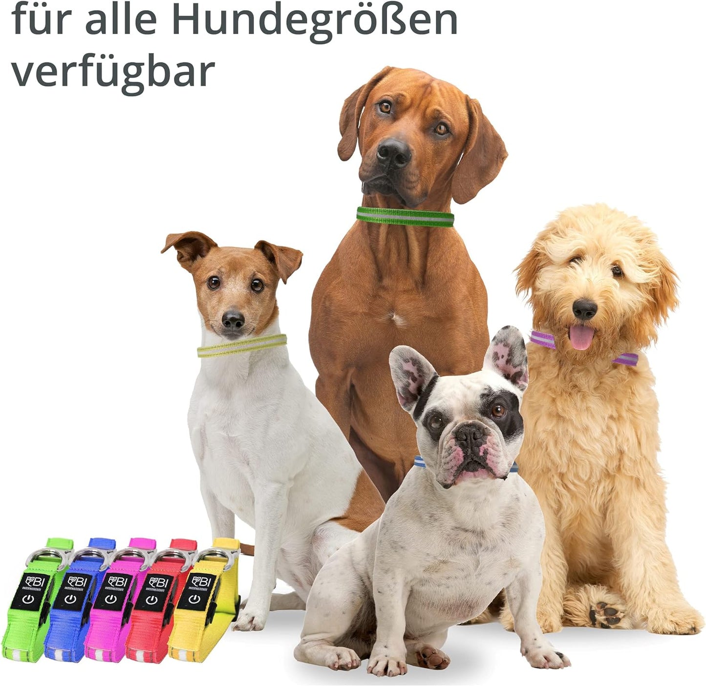 Petsation Leuchthalsband für Hunde – Reflektierendes Hundehalsband mit 5 Leuchtpunkten für bessere Sichtbarkeit und Sicherheit bei Nacht, Verstellbar, Wasserdicht, Ideal für Spaziergänge im Dunkeln, Hundezubehör Rot Größe M 38-50cm
