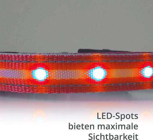 Petsation Leuchthalsband für Hunde – Reflektierendes Hundehalsband mit 5 Leuchtpunkten für bessere Sichtbarkeit und Sicherheit bei Nacht, Verstellbar, Wasserdicht, Ideal für Spaziergänge im Dunkeln, Hundezubehör Rot Größe M 38-50cm