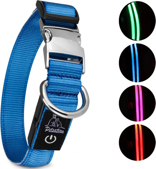 Petsation Leuchthalsband für Hunde – Hundehalsband Durchgängig Leuchtend, LED-Beleuchtung für Sichtbarkeit im Dunkeln, Wasserdicht, Verstellbar, Sicheres Hundezubehör für Nächtliche Spaziergänge, Reflektierend & Leuchtend Blau Größe M 38-50cm