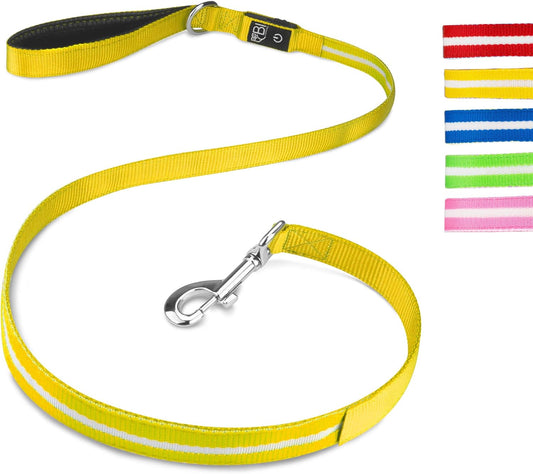 LED Hundeleine Leuchtend – Sicherheitsleine für Hunde bei Nacht  - Gelb