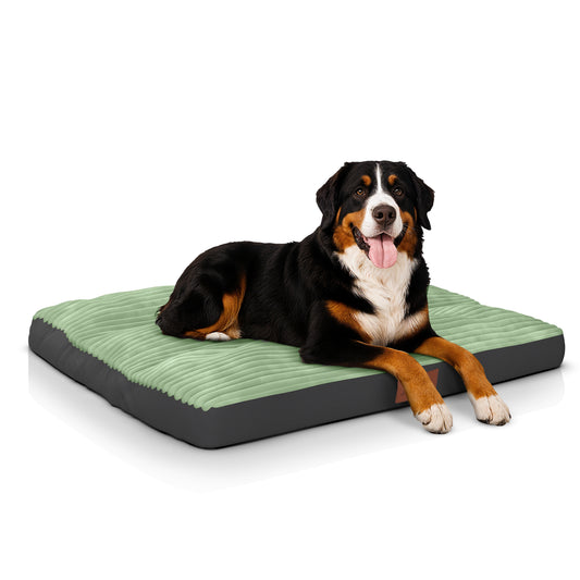Flauschiges Hundesofa – Kuschelig, rutschfest & pflegeleicht in vielen Größen