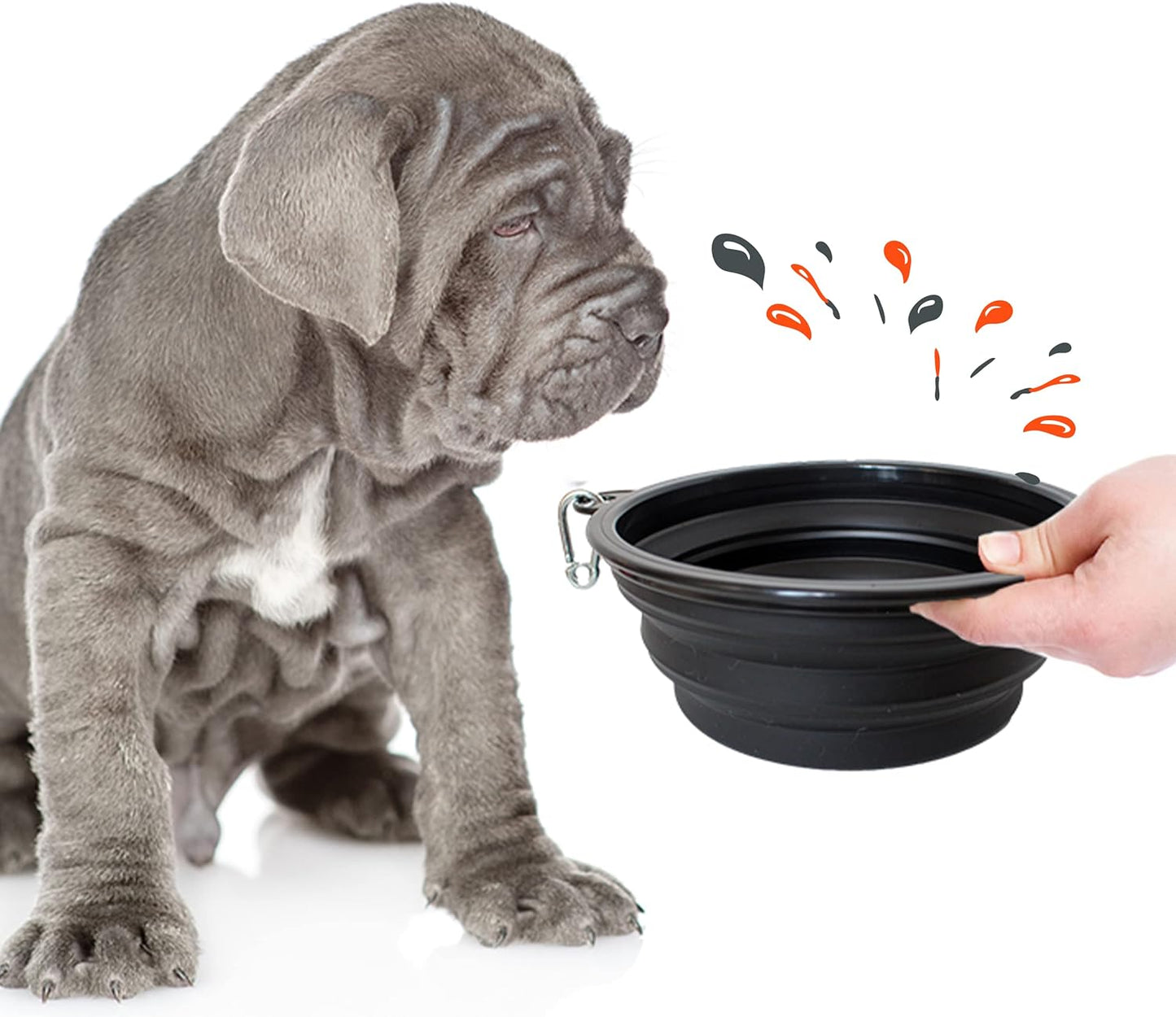 PETSATION Foldable Dog Bowl for on the Go [The Original] Travel Bowl, Food Bowl &amp; Water Bowl for Dogs - Drinking Bowl, Ideal for Travel, Walks &amp; Everyday Use Lightweight Black 1000ml &amp; 350ml
