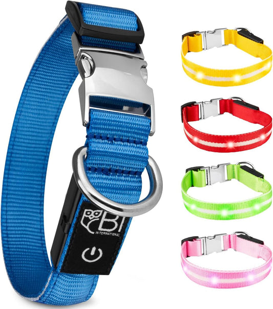 Petsation Leuchthalsband für Hunde – Reflektierendes Hundehalsband mit 5 Leuchtpunkten für bessere Sichtbarkeit und Sicherheit bei Nacht, Verstellbar, Wasserdicht, Ideal für Spaziergänge im Dunkeln, Hundezubehör Blau, Größe M (38-50cm)